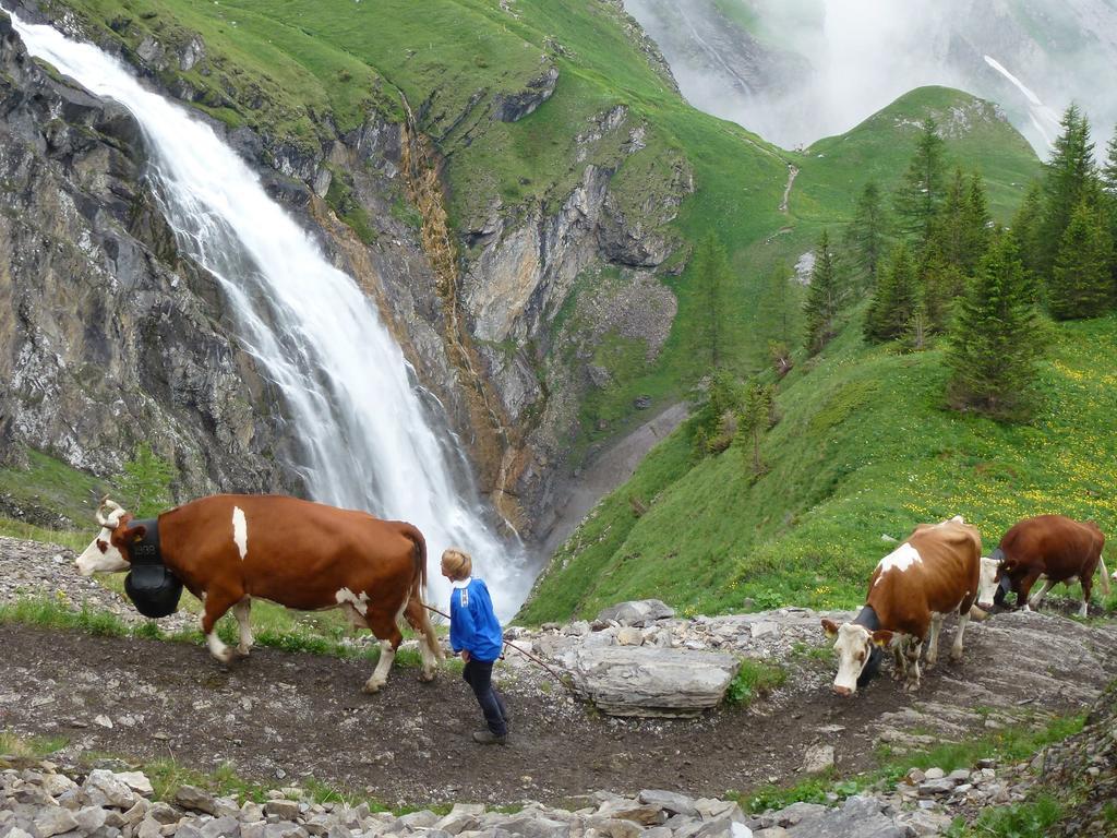 Hotel Hari Im Schlegeli Adelboden Eksteriør billede