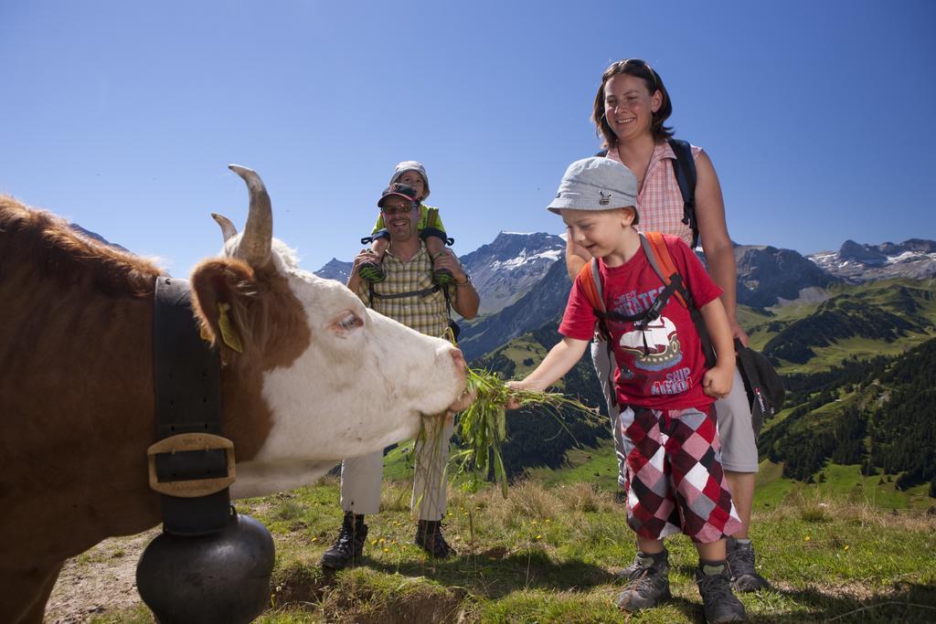 Hotel Hari Im Schlegeli Adelboden Eksteriør billede