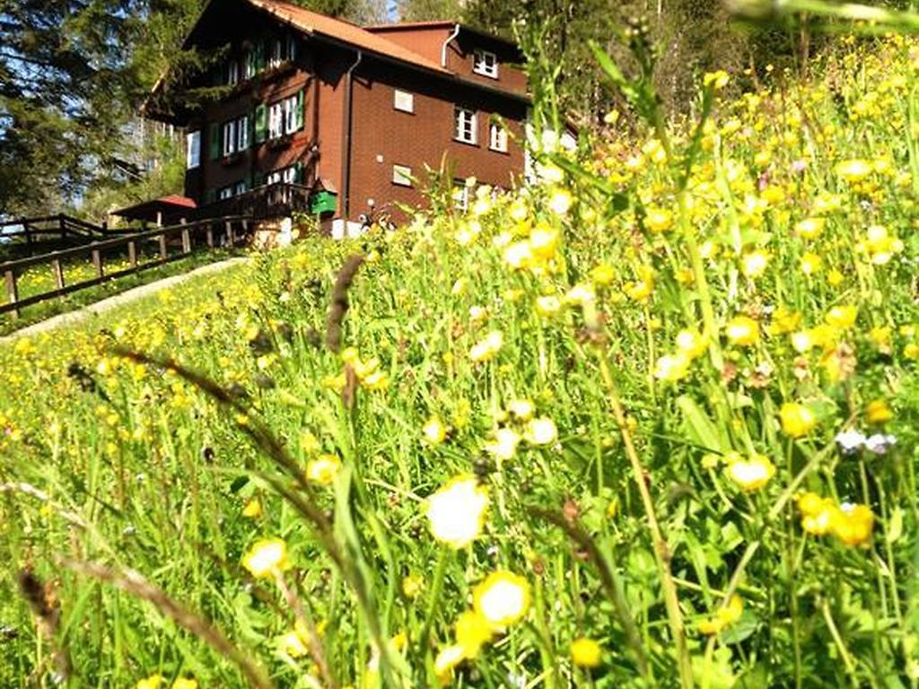 Hotel Hari Im Schlegeli Adelboden Eksteriør billede